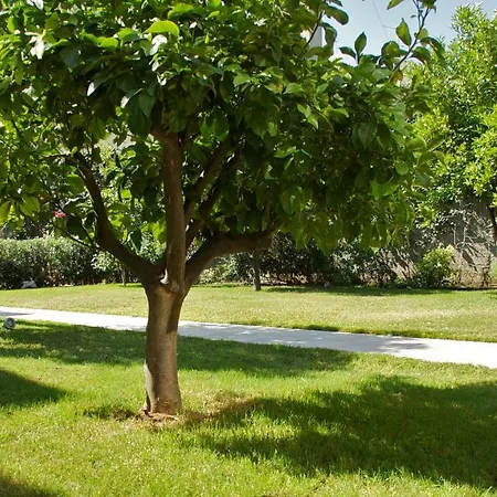 Deliziosa Casa Vacanze Indipendente Con Ampia Terrazza E Bbq Feriehus